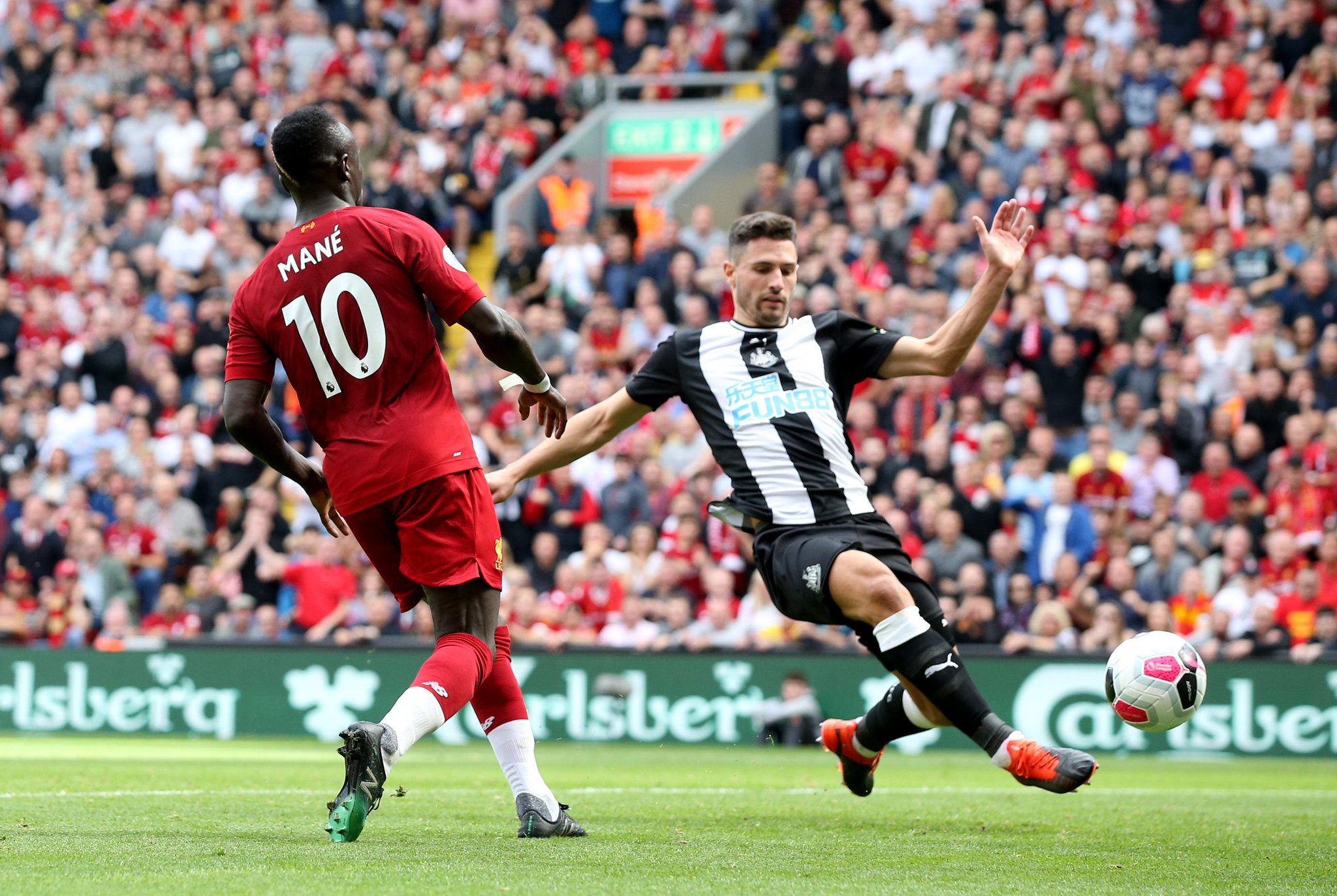 他们不仅需 他们不仅需